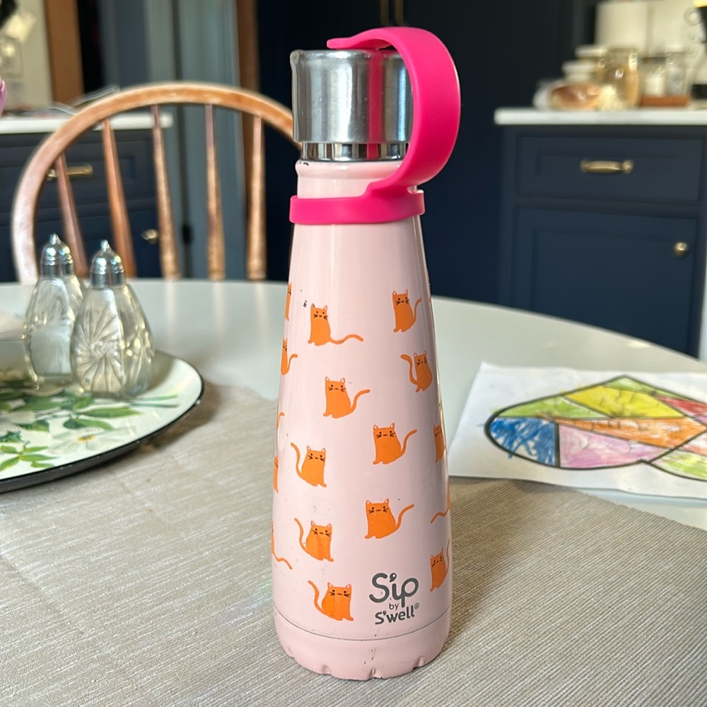 S’well Orange Cat Water Bottle